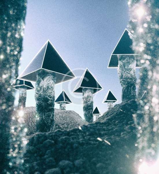 image-nft-copyright image-nft-copyright